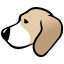 Apps Beagle Icon 64x64 png