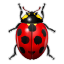 Apps KBugBuster Icon 64x64 png