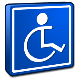 Accessibility Icon 256x256 png