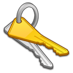 Key Icon 256x256 png