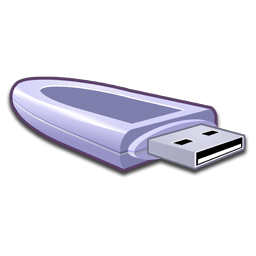 USB Storage Icon 256x256 png