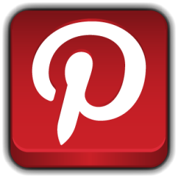 Social Network Pinterest Icon 256x256 png