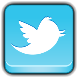Social Network Twitter Icon 256x256 png