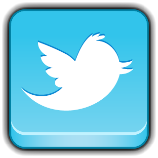 Social Network Twitter Icon 320x320 png