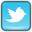 Social Network Twitter Icon 64x64 png