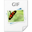 File Image GIF Icon 64x64 png