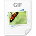 File Image GIF Icon 72x72 png