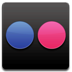 Apps Flickr Icon