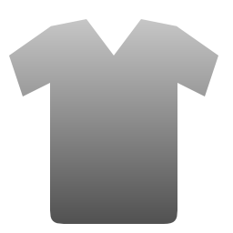 T-Shirt Icon 256x256 png