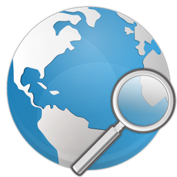 Globe Search Icon 256x256 png