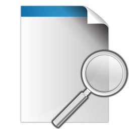 Search File Icon 256x256 png