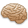 Brain Icon 32x32 png
