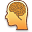 Brain Trainer Icon 32x32 png
