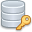Database Key Icon