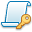 Script Key Icon