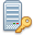 Server Key Icon