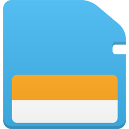 Memory Card Icon 256x256 png