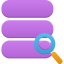Data Search Icon 64x64 png