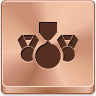 Awards Icon 96x96 png