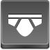 Briefs Icon 72x72 png