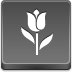 Tulip Icon 72x72 png