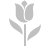 Tulip Silver Icon