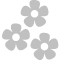 Flowers Silver Icon 60x60 png