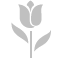 Tulip Silver Icon 60x60 png
