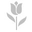 Tulip Silver Icon 64x64 png