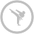 Karate Silver Icon 48x48 png