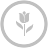 Tulip Silver Icon