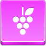 Grapes Icon 96x96 png