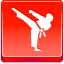 Karate Icon 64x64 png