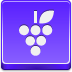 Grapes Icon 72x72 png
