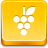Grapes Icon 48x48 png