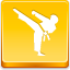Karate Icon 64x64 png