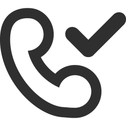 Successful Call Icon 256x256 png