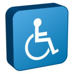 Access Icon 256x256 png