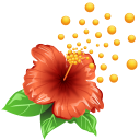 Pollen Flower Icon 128x128 png