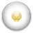 SAARC Icon