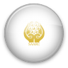 SAARC Icon 96x96 png