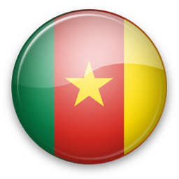 Cameroon Icon 256x256 png