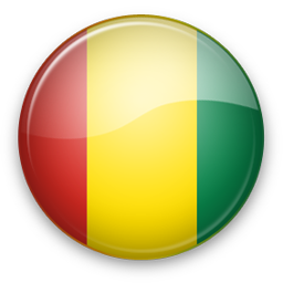 Guinea Icon 256x256 png