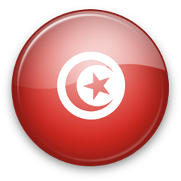 Tunisia Icon 256x256 png