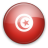 Tunisia Icon 48x48 png