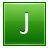 J Green Icon