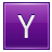 Y Violet Icon