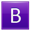 B Violet Icon 64x64 png