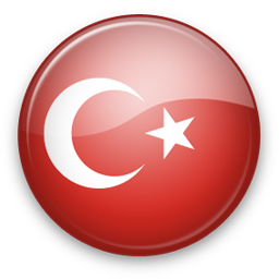 Turkey Icon 256x256 png
