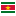 Suriname Icon 16x16 png
